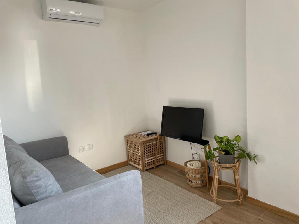 Puro Sao Jacinto Apartman Aveiro Kültér fotó